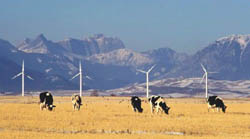 wind farm in Pincer Creek AB